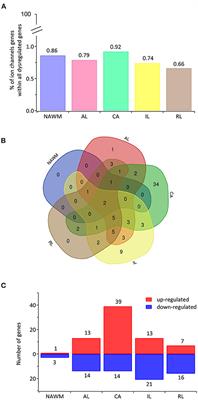 Altered Expression of Ion Channels in White Matter Lesions of Progressive Multiple Sclerosis: What Do We Know About Their Function?